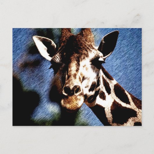 Giraffe Sketch Briefkaart (Voorkant)