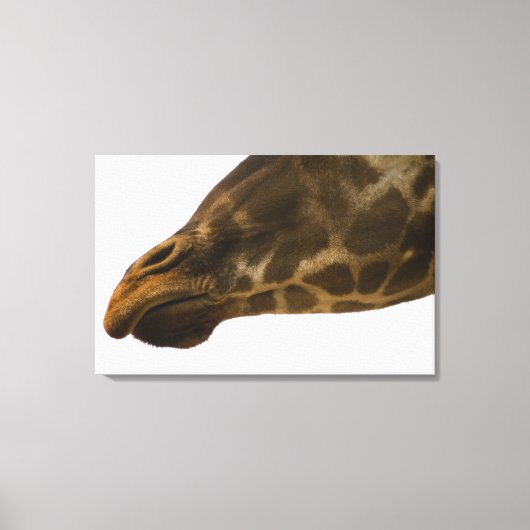 Giraffe, sluiten canvas afdruk (Voorkant)
