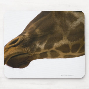 Giraffe, sluiten muismat