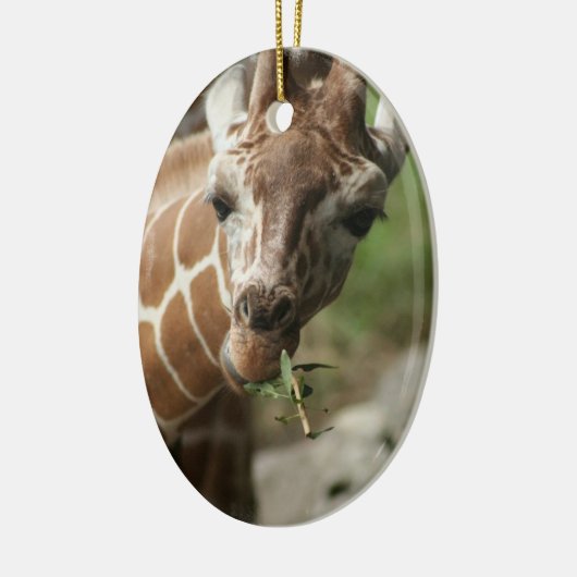 Giraffe Snack Ornament (Links)