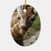 Giraffe Snack Ornament (Voorkant)