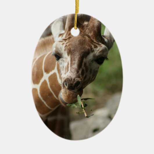 Giraffe Snack Ornament (Voorkant)