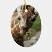 Giraffe Snack Ornament (Achterkant)