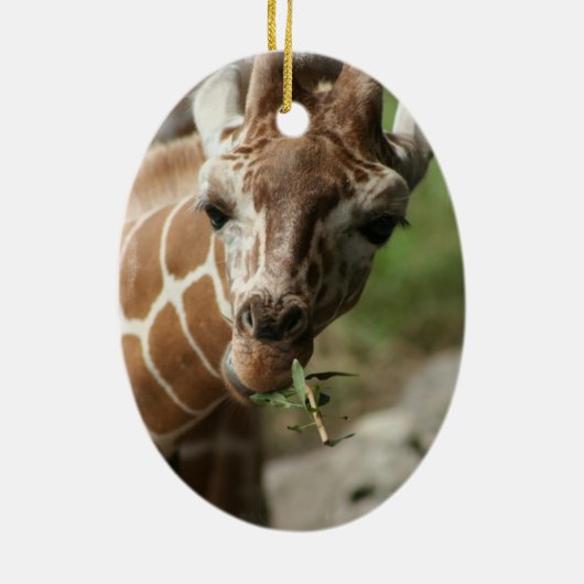 Giraffe Snack Ornament (Achterkant)