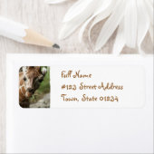 Giraffe Snack retour adreslabel Etiket (Insitu)