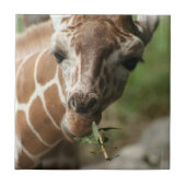 Giraffe Snack Tile Tegeltje (Voorkant)