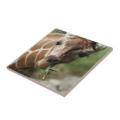 Giraffe Snack Tile Tegeltje (Zijkant)