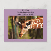 Giraffe Social Distancing Six Feet van Funnycomb Briefkaart (Voorkant)