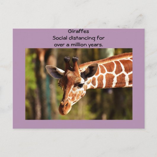 Giraffe Social Distancing Six Feet van Funnycomb Briefkaart (Voorkant)