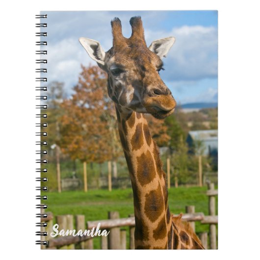 Giraffe spiraal notebook notitieboek (Voorkant)