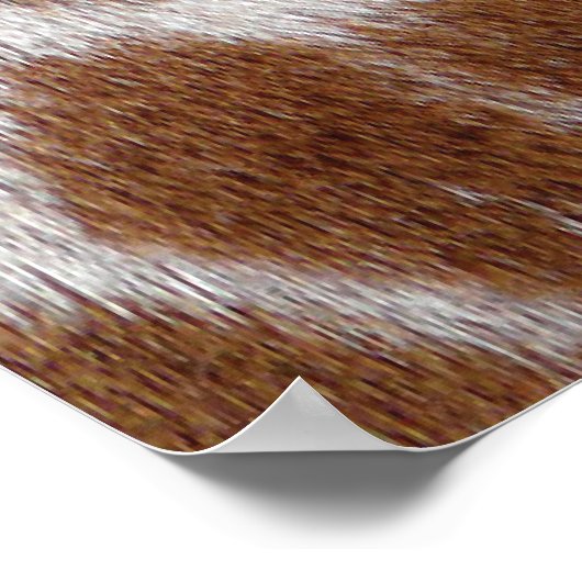 Giraffe Spots Poster (Hoek)