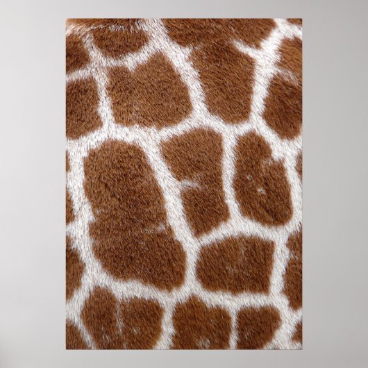Giraffe Spots Poster (Voorkant)