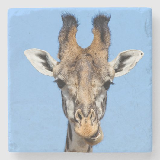 Giraffe Stenen Onderzetter (Voorkant)