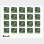 Giraffe Sticker (Vel)