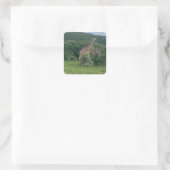 Giraffe Sticker (Tas)