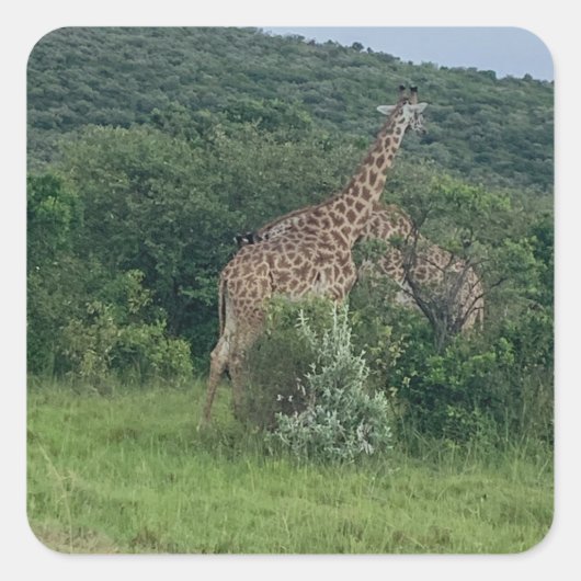 Giraffe Sticker (Voorkant)