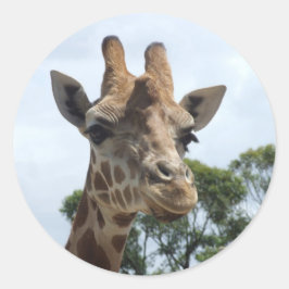 Giraffe Sticker - Ronde