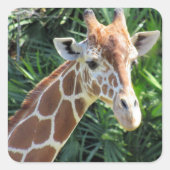 Giraffe Stickers (Voorkant)