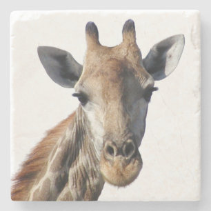 Giraffe Stone Onderzetter