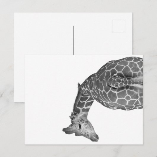 Giraffe tail black white feestdagenkaart (Voorkant / Achterkant)
