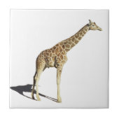 Giraffe Tegeltje (Voorkant)