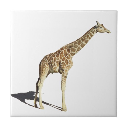 Giraffe Tegeltje (Voorkant)