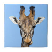 Giraffe Tegeltje (Voorkant)