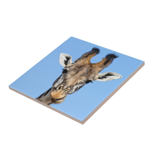 Giraffe Tegeltje (Zijkant)