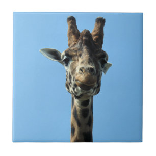 GIRAFFE TEGELTJE
