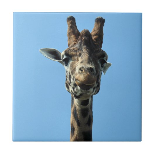 GIRAFFE TEGELTJE (Voorkant)
