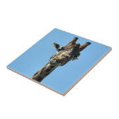 GIRAFFE TEGELTJE (Zijkant)