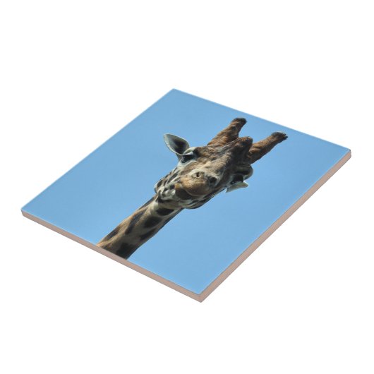 GIRAFFE TEGELTJE (Zijkant)