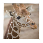 Giraffe Tegeltje (Voorkant)