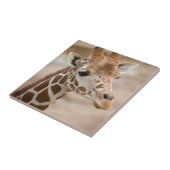 Giraffe Tegeltje (Zijkant)