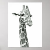 Giraffe Tekening Poster (Voorkant)