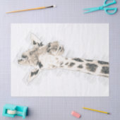 Giraffe Tekening Tissuepapier (Craft)
