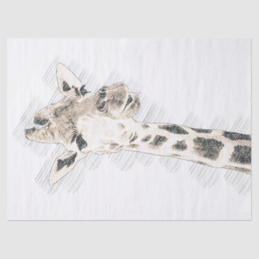 Giraffe Tekening Tissuepapier (Voorkant)