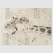 Giraffe Tekening Tissuepapier (Voorkant)