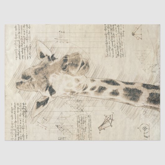  Giraffe Tekening Tissuepapier (Voorkant)