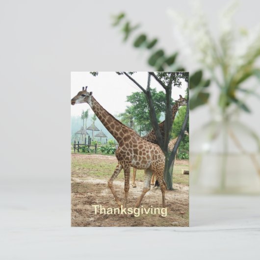 Giraffe Thanksgiving briefkaart (Staand voorkant)