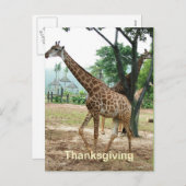 Giraffe Thanksgiving briefkaart (Voorkant / Achterkant)