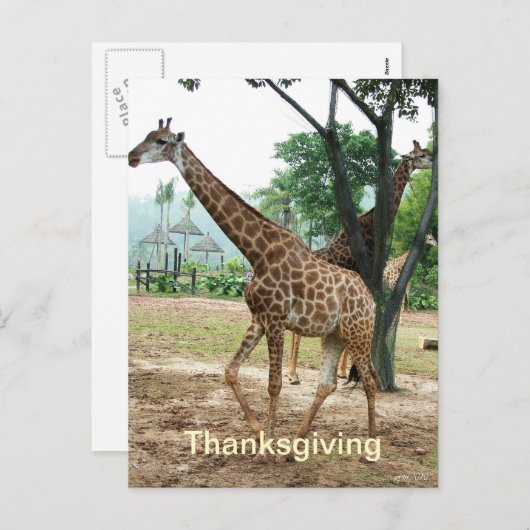 Giraffe Thanksgiving briefkaart (Voorkant / Achterkant)