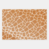 Giraffe Tiger & Zebra Fur Realistic Animal Print Inpakpapier Vel (Voorkant)