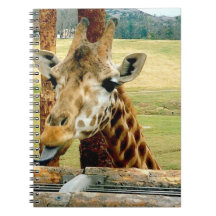 Giraffe tikt op Tongue Out notebook