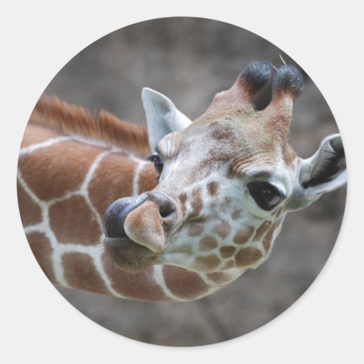 Giraffe Tong Stickers (Voorkant)