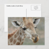 Giraffe Tongue Briefkaart (Voorkant / Achterkant)