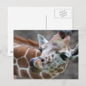 Giraffe Tongue Briefkaarten (Voorkant / Achterkant)