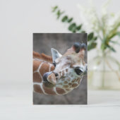 Giraffe Tongue Briefkaarten (Staand voorkant)