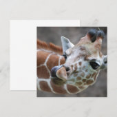 Giraffe Tongue Kaart (Voorkant / Achterkant)