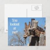 Giraffe Tongues Briefkaart (Voorkant / Achterkant)